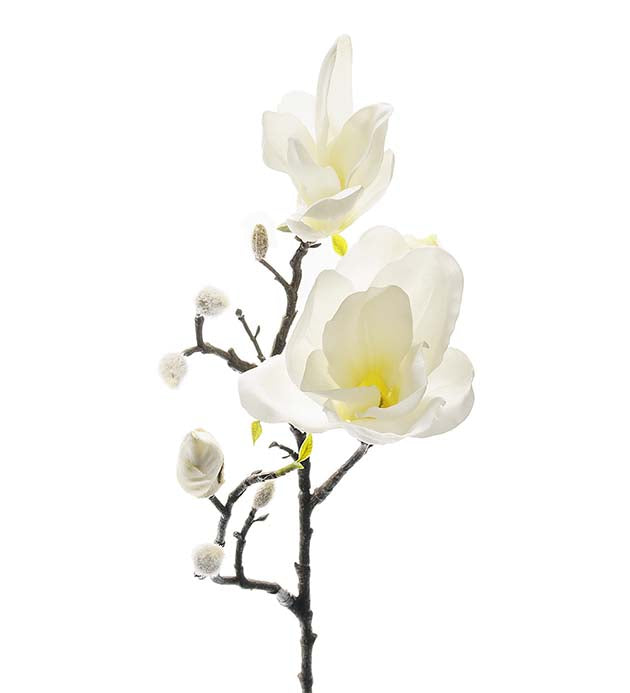 Magnolia Hvit