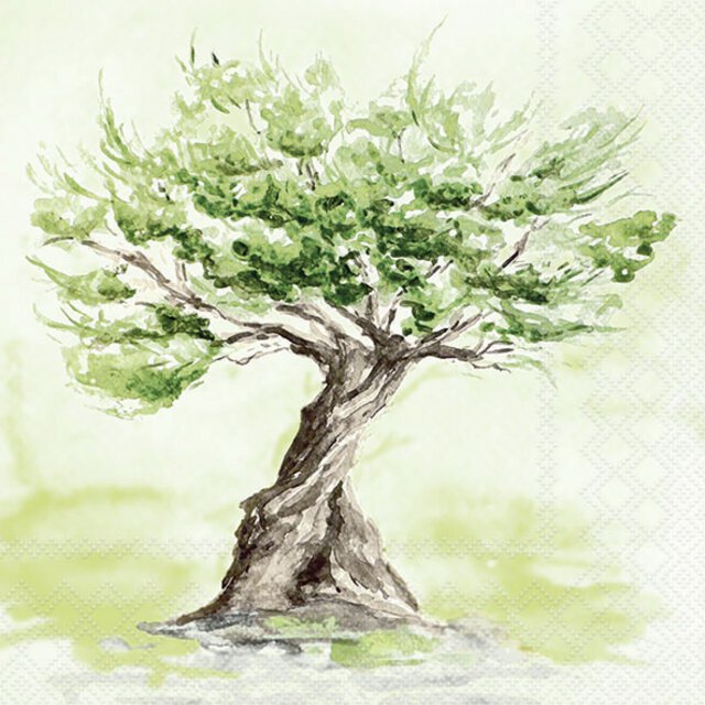 Serviett Oliventre