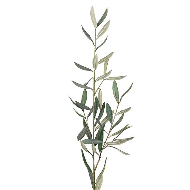 Olivengren