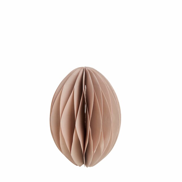 Papiregg Papilla Rose H15