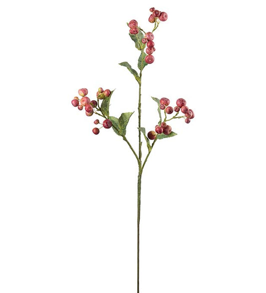 Epleblomst Rød