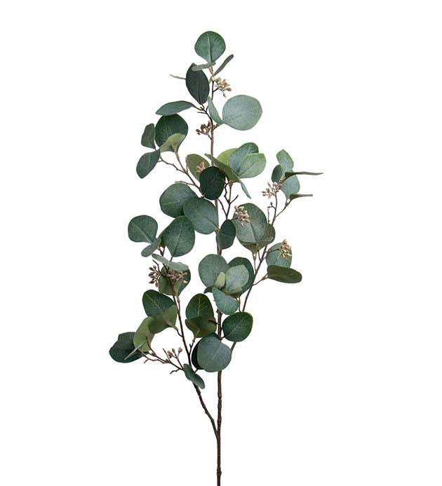 Eucalyptus m/bær 100cm