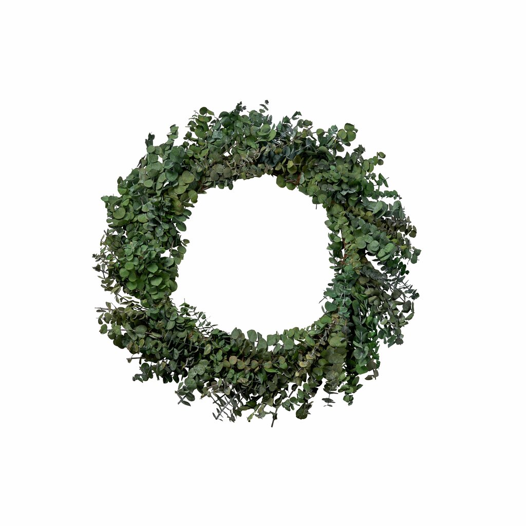 Krans eukalyptus