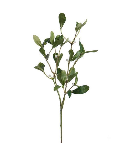 Mistel