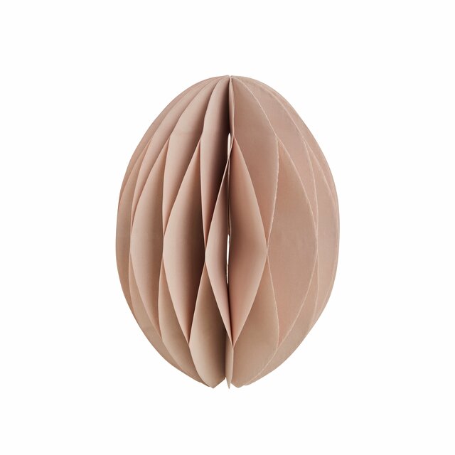 Papiregg Papilla Rose H20