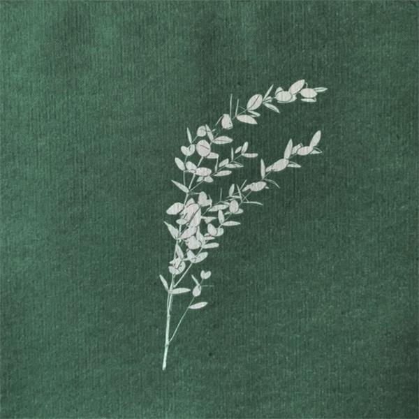 Serviett Eucalyptus Paviot