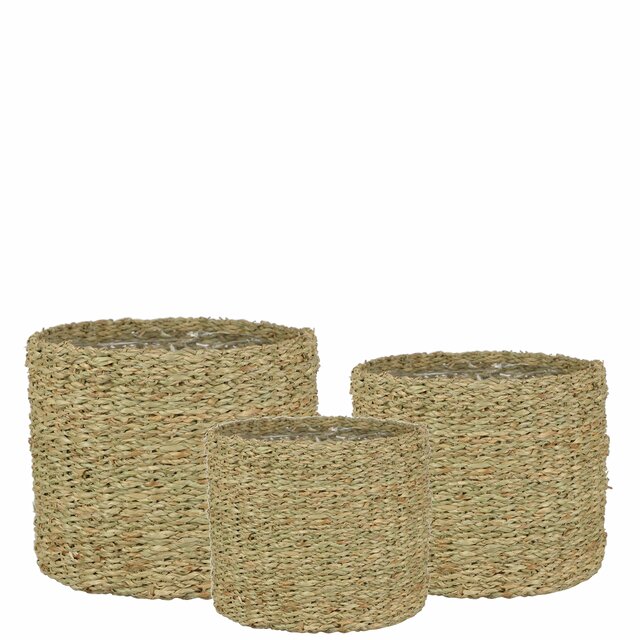 Kurv Sjøgress Liten