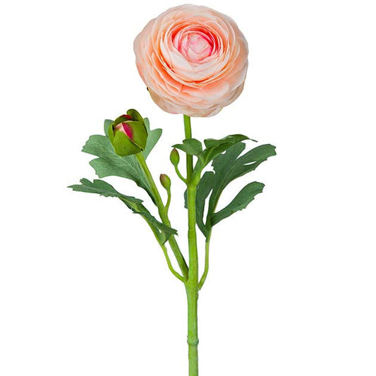 Ranunkel Lys Fersken