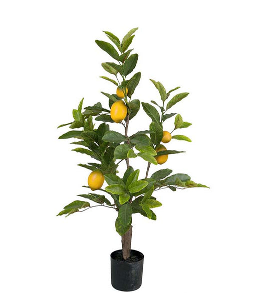 Sitrontre